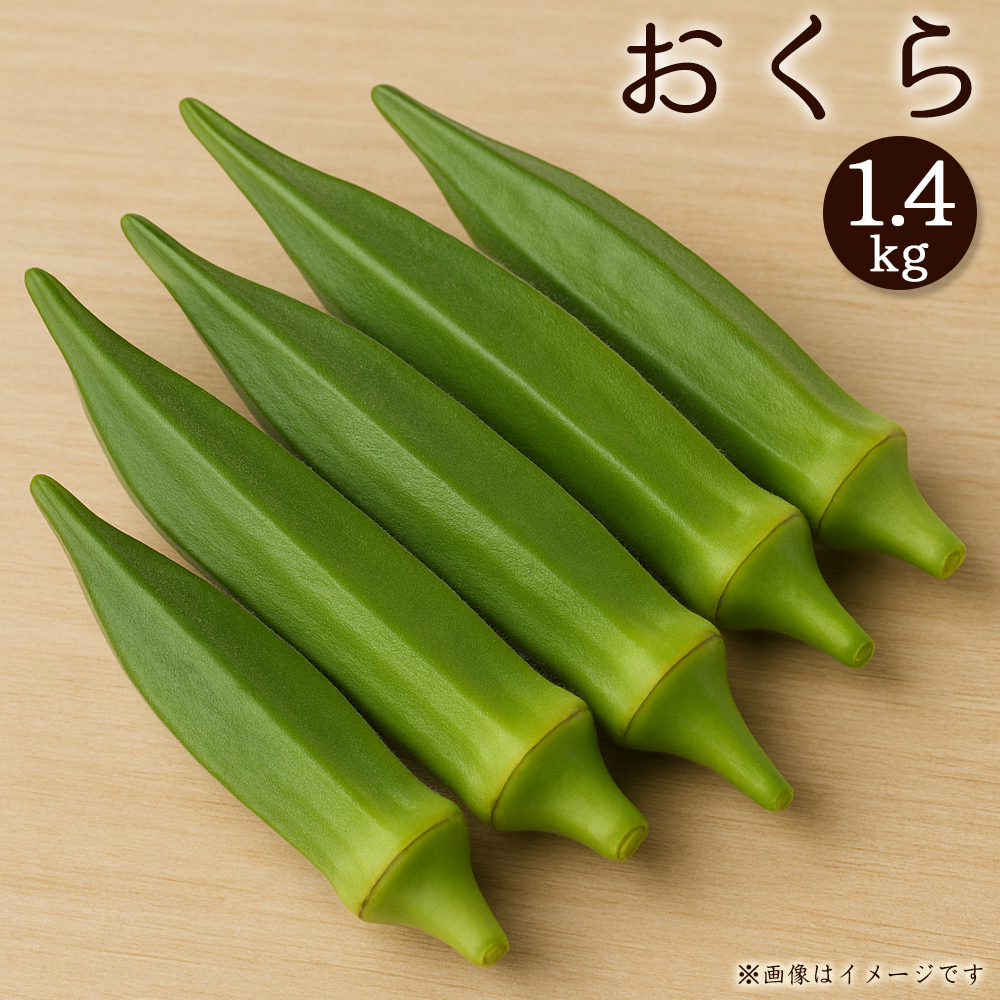 オクラ　約1.4kg