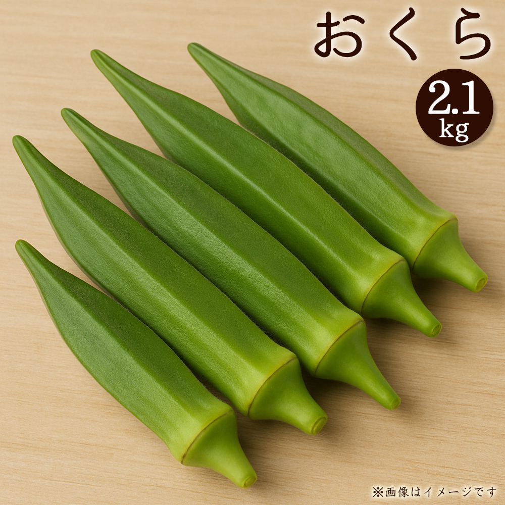 オクラ　約2.1kg