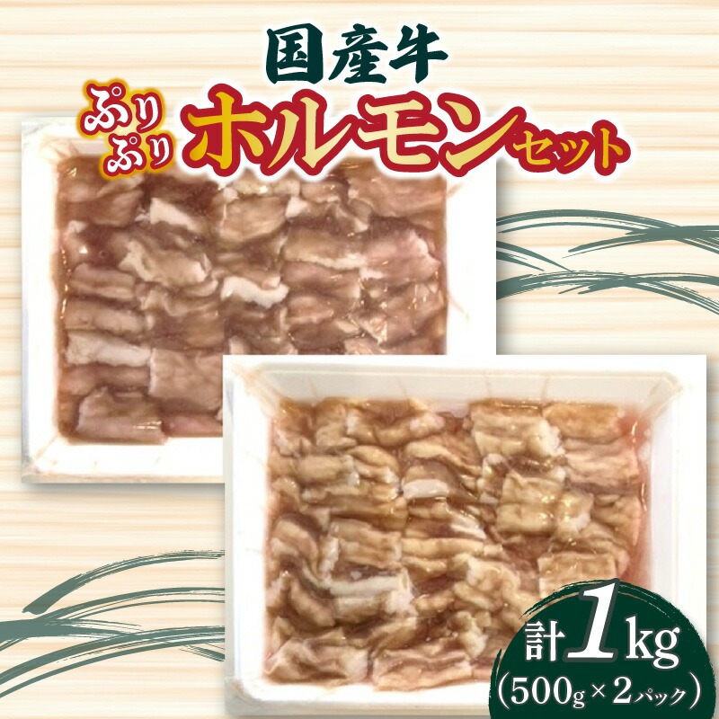 国産牛ぷりぷりホルモンセット