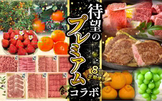 【ふるさと納税】待望のプレミアムコラボ【8回】定期便CB