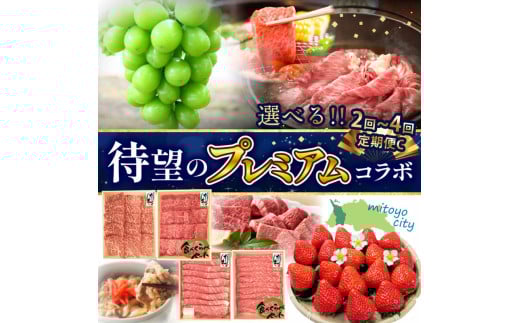 待望のプレミアムコラボ【2回】定期便C