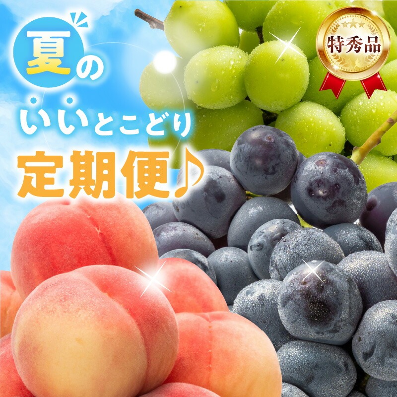 【特秀品!】夏のいいとこどり定期便♪
