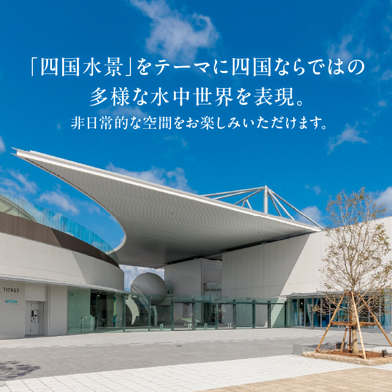 四国水族館ペアチケット