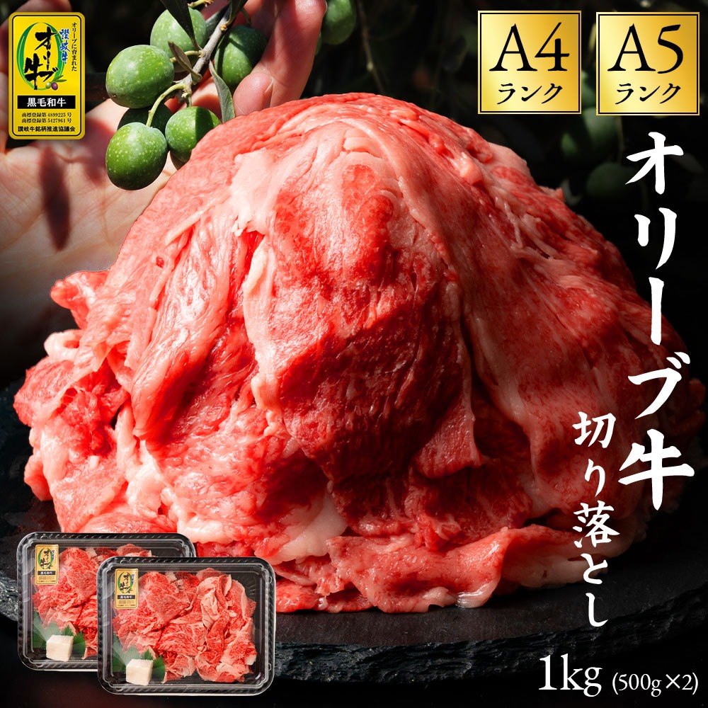【ふるさと納税】黒毛和牛オリーブ牛 切り落とし 約500g×2