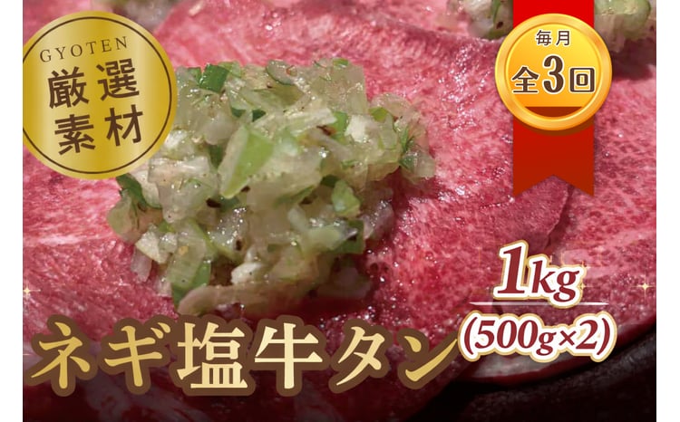 毎月お届け3回 葱塩牛タンスライス500g×2