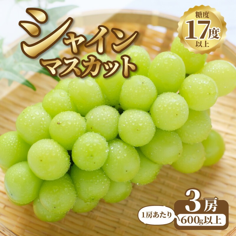【9月上旬より発送】シャインマスカット3房【600g以上】【糖度17度以上】