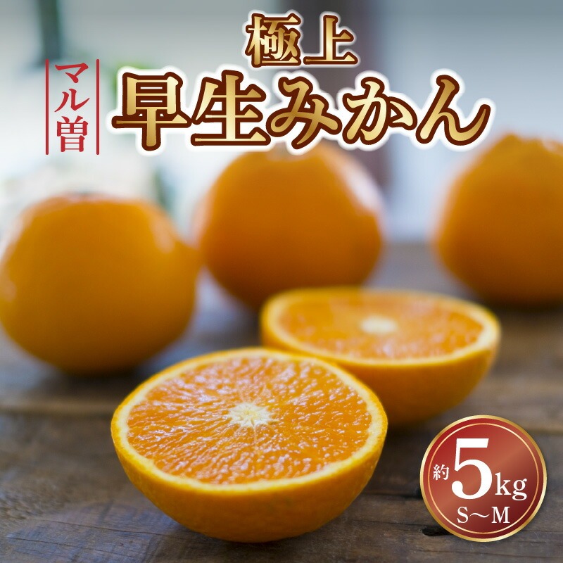 【11/15より発送】三豊市産 極上【マル曽 早生みかん約5kg】S～Mサイズ