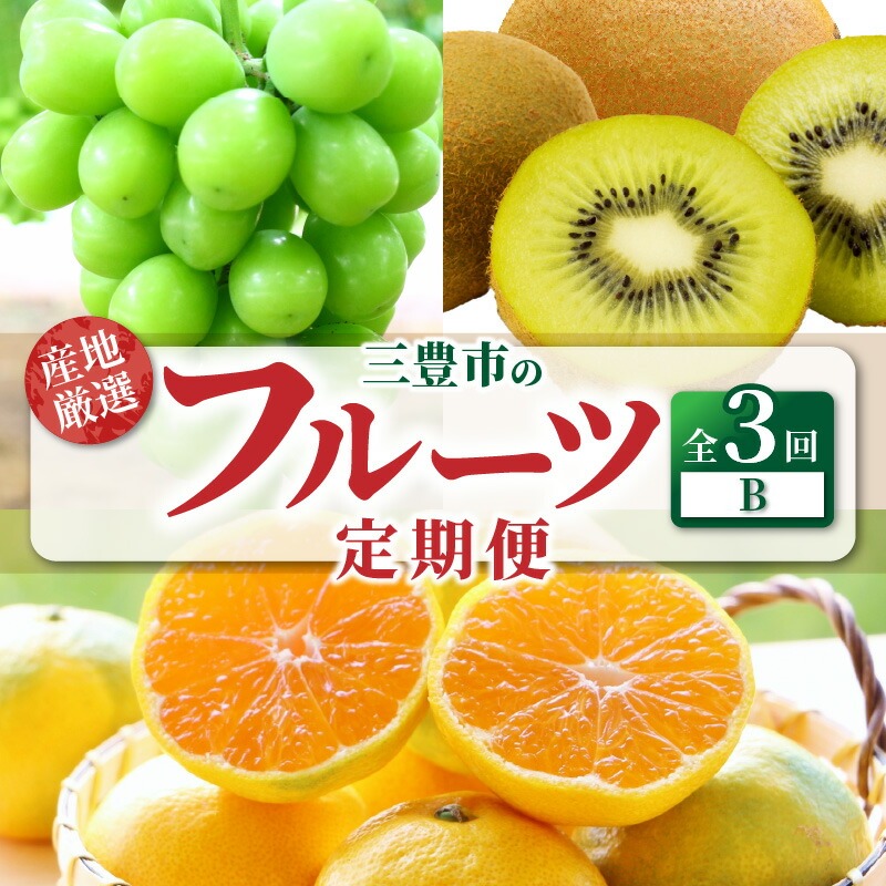 産地厳選三豊のフルーツ3回定期便B