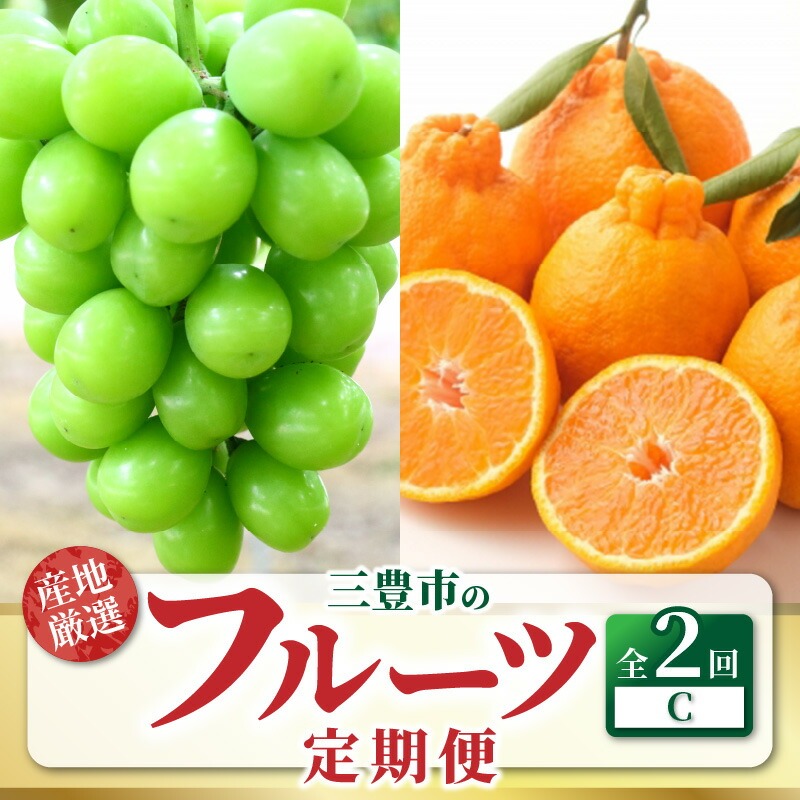 三豊市フルーツ2回お届け定期便C