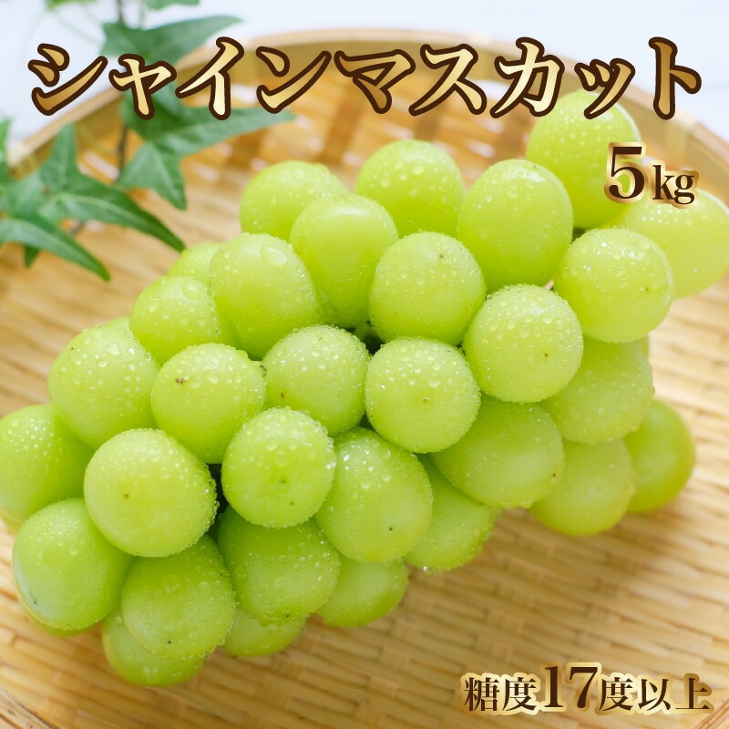 【8月下旬より発送】シャインマスカット5kg (6～7房)【700g以上】【糖度17度以上】
