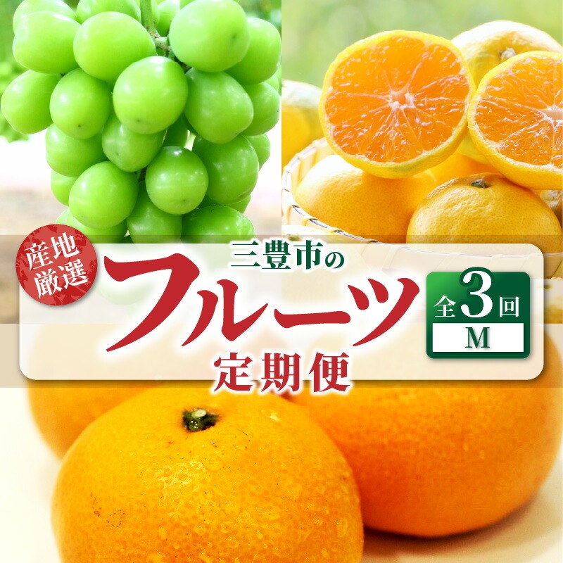 産地厳選三豊のフルーツ3回定期便 M