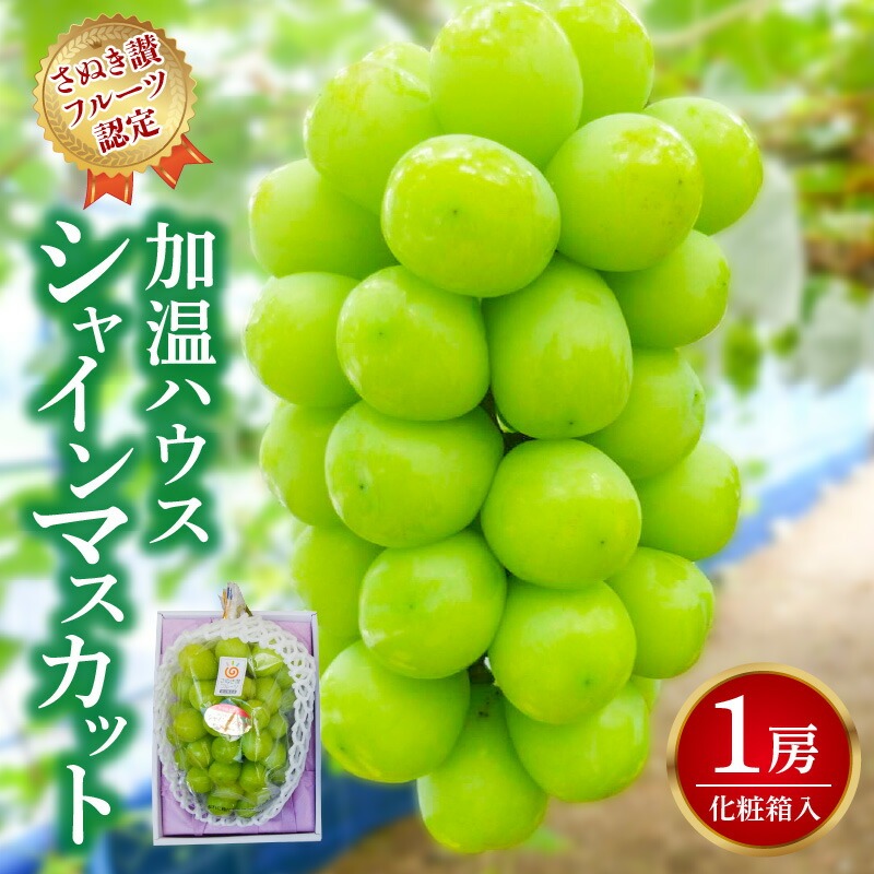 【7月上旬から】【さぬき讃フルーツ】加温ハウス シャインマスカット1房 (化粧箱入り)
