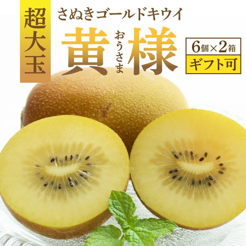 【10月下旬より】さぬきゴールドキウイ「黄様」超大玉6個入り×2箱【ギフト可】