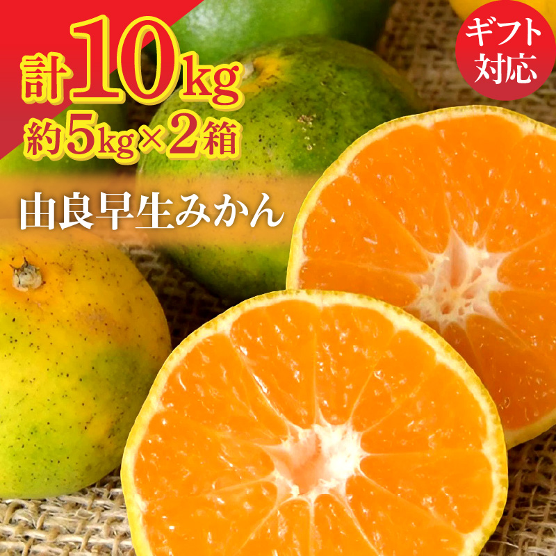 【10月上旬より】由良早生みかん 5kg×2箱【ギフト可】