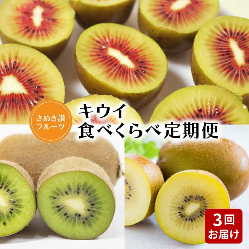 【さぬき讃フルーツ】キウイ食べくらべ定期便(3回)