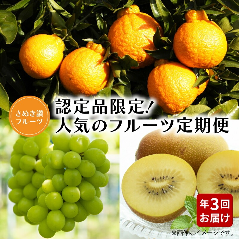 【ふるさと納税】【さぬき讃フルーツ】認定品限定!人気のフルーツ定期便(年2回)