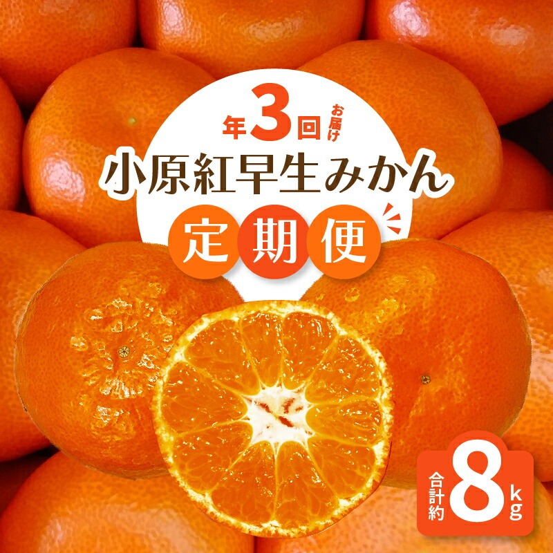 【ふるさと納税】【マスターショップセレクト】「小原紅早生みかん」の定期便(年3回)