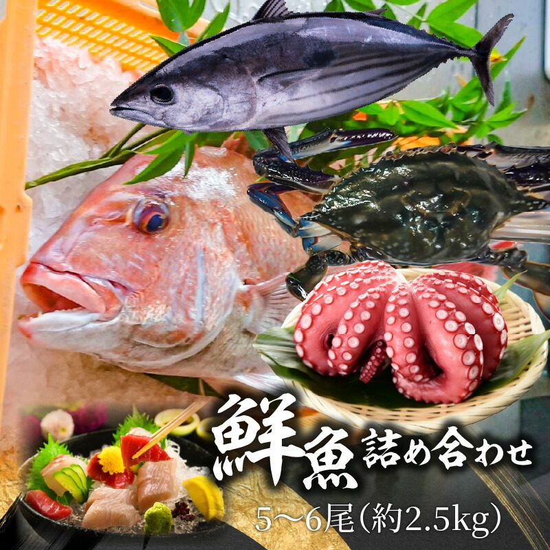 鮮魚詰め合わせ 5～6尾(約2.5kg)