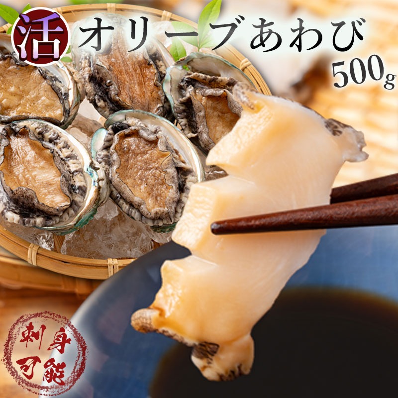 オリーブアワビ約500g(5個入り前後)×12