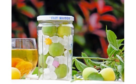 お家でうめしごと。☆梅シロップkit☆