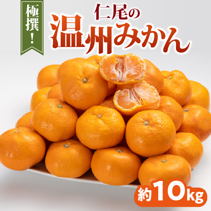 極撰 温州みかん 約 10kg