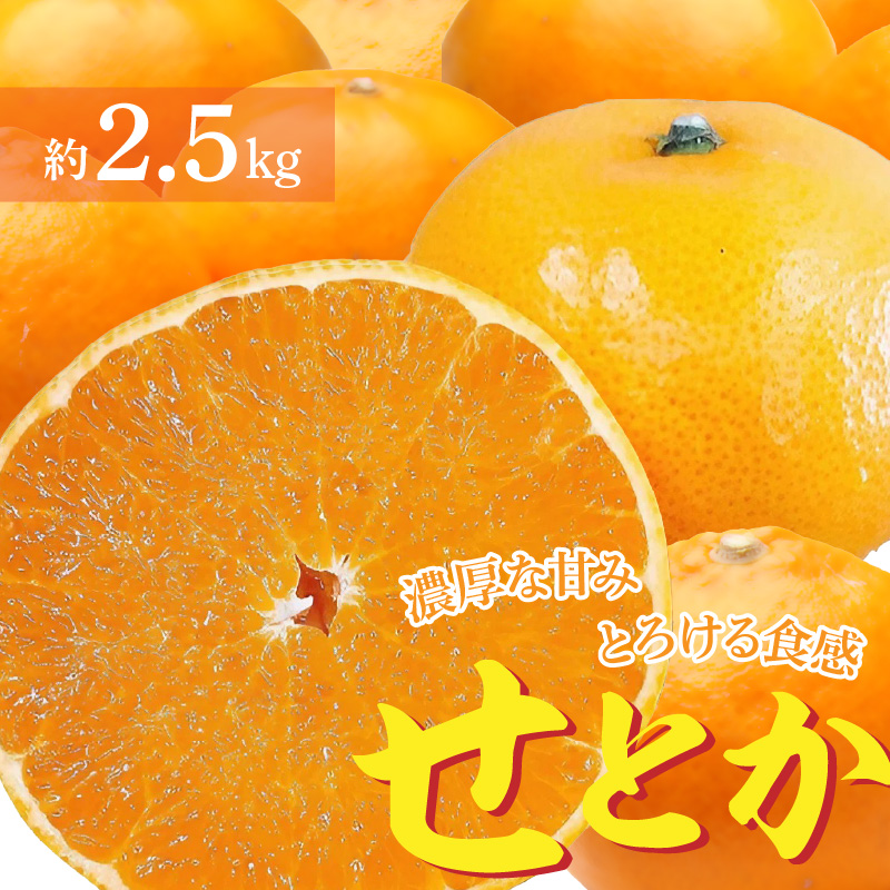 濃厚な甘み、とろけるような食感の「せとか」 約2.5kg 1箱 9〜14個