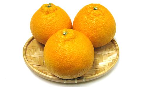 【 小豆島 】小豆島　不知火　約5kg 果物類 みかん 柑橘類 フルーツ