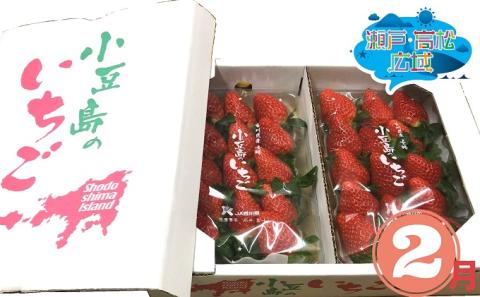 【 小豆島 】「瀬戸・たかまつネットワーク」いちご食べ比べ3ヵ月定期便
