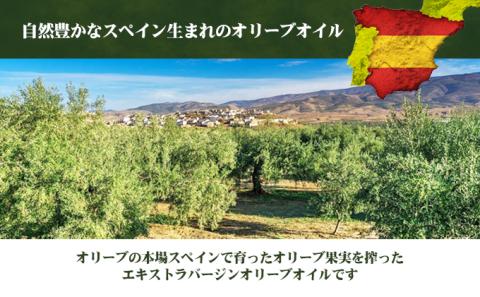 エキストラバージンオリーブオイル　初秋　500ml　1本