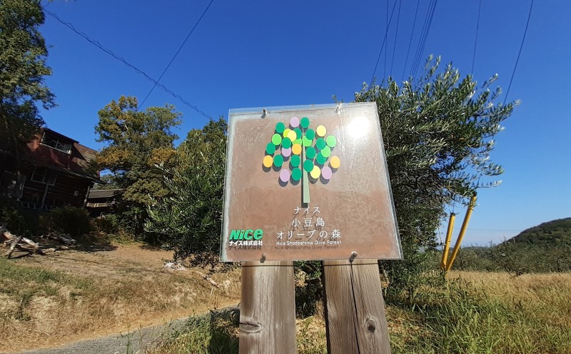 オリーブオイル 小豆島の恵み 100％小豆島産 手摘み エキストラバージンオリーブオイル 85g×1本：ミッション