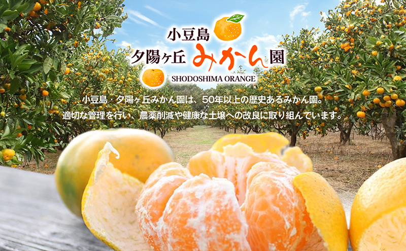 【 小豆島 】小豆島夕陽ヶ丘 みかん 10kg S～Lサイズ おまかせ 早生みかん 早生 蜜柑 ミカン 柑橘 香川 香川県 土庄 土庄町