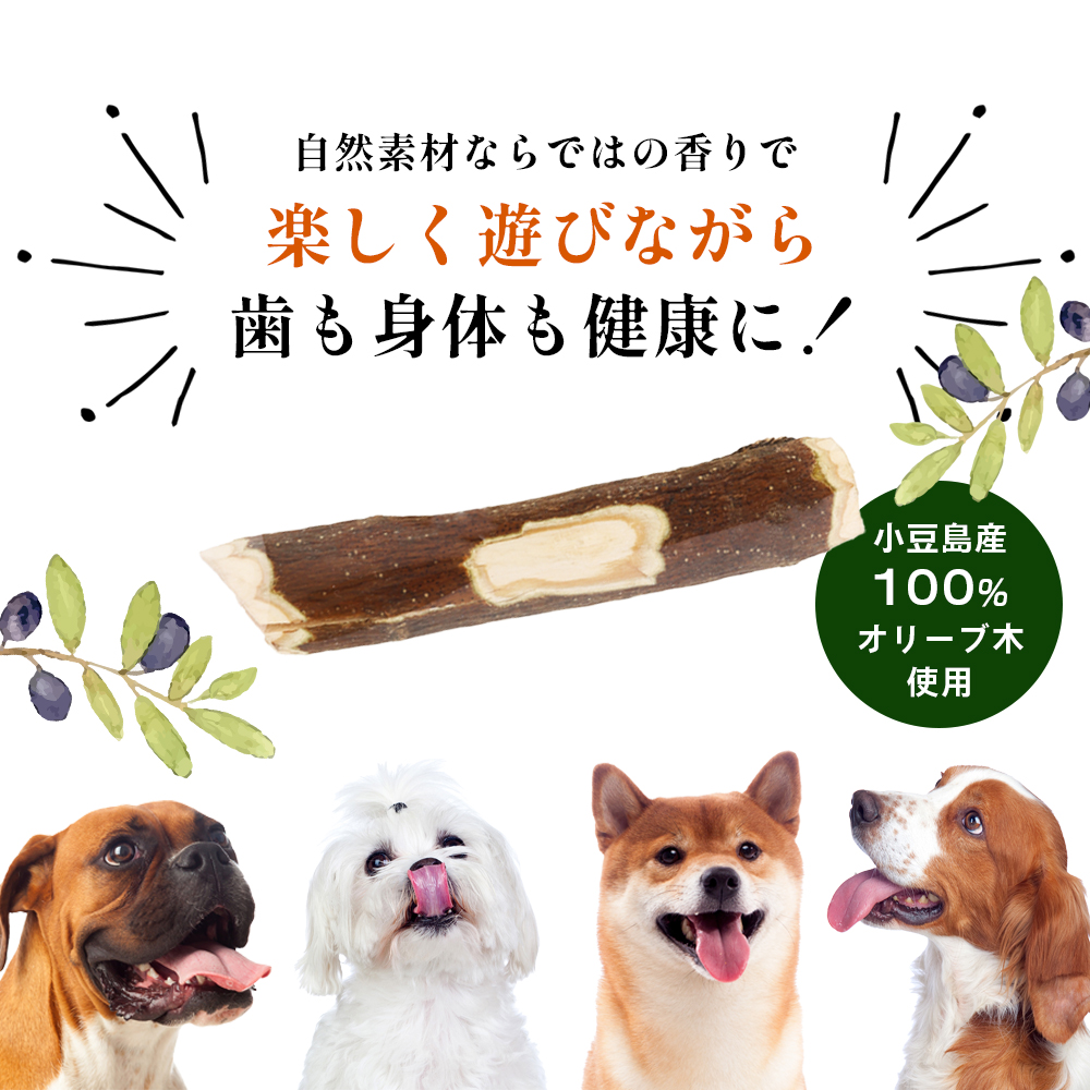 【 小豆島 】 小豆島産 オリーブの犬用はみが木 S(小型犬用) 1本入 ペット 健康 犬 いぬ イヌ 歯磨き 歯みがき ハミガキ オリーブ オリーブ木 犬用 小型犬 香川 香川県 土庄 土庄町