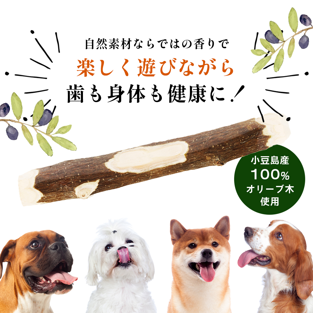 【 小豆島 】 小豆島産 オリーブの犬用はみが木 M(中型犬用) 3袋入 ペット 健康 犬 いぬ イヌ 歯磨き 歯みがき ハミガキ オリーブ オリーブ木 犬用 中型犬 香川 香川県 土庄 土庄町