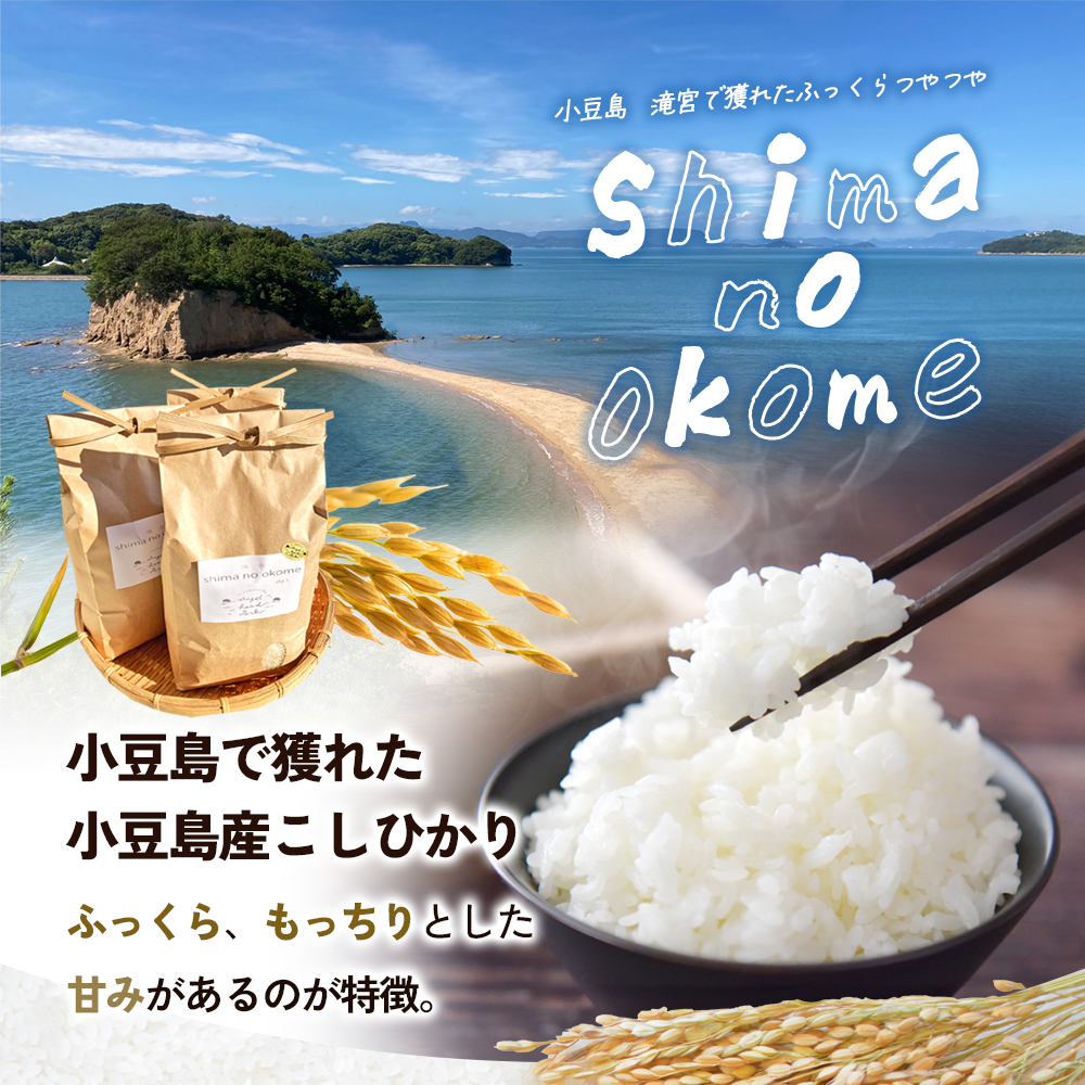 【 小豆島 】小豆島 滝宮で獲れたふっくらつやつや 小豆島産 コシヒカリ 2kg×3袋 こしひかり お米 米 白米 精米 もっちり 甘み 6kg 香川 香川県 土庄 土庄町