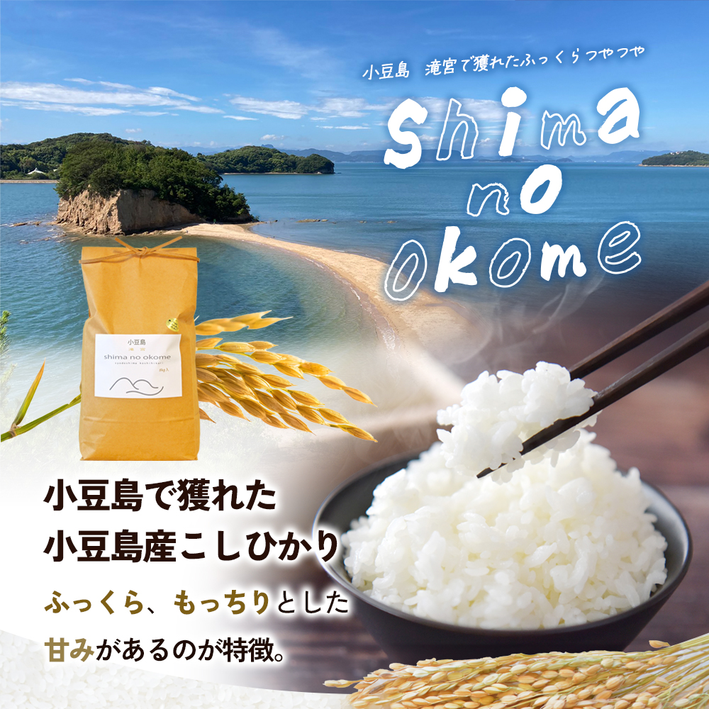 【 小豆島 】小豆島 滝宮で獲れたふっくらつやつや 小豆島産 コシヒカリ 5kg こしひかり お米 米 白米 精米 もっちり 甘み 香川 香川県 土庄 土庄町
