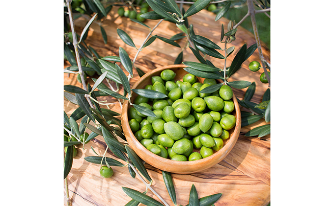 小豆島産 新漬けオリーブ　6袋セット 漬物 発酵食品 2026年1月中旬以降発送