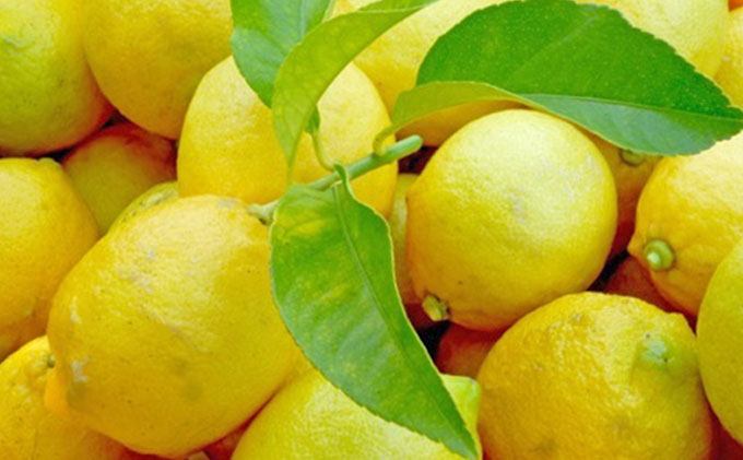 【 小豆島 】豊島レモン2.5キロ【12月上旬発送開始】