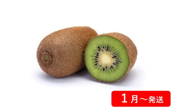 【 小豆島 】【4回お届け】土庄町 季節の果物 定期便 フルーツ 果物 季節 旬 キウイ キウイフルーツ 香緑 いちご 苺 イチゴ 女峰 びわ 茂木びわ みかん 蜜柑 ミカン 温州みかん くだもの 国産 香川 香川県 土庄 土庄町