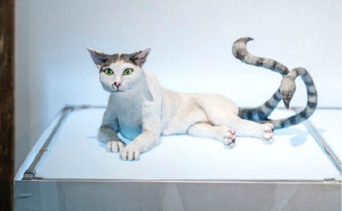 【 小豆島 】妖怪美術館＋小野川直樹美術館 入館 チケット 体験 美術館 妖怪 アート アート作品 香川 香川県 土庄 土庄町