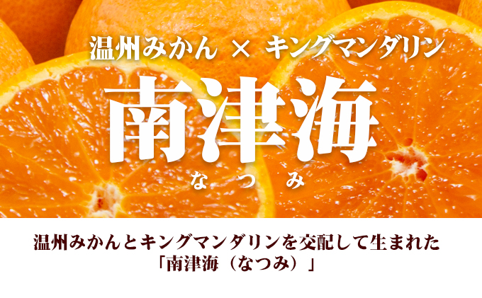 【 小豆島 】 南津海 （ なつみ ） みかん 約5kg 柑橘 ミカン 果物 フルーツ  越冬 完熟 くだもの 国産 香川 香川県 土庄 土庄町