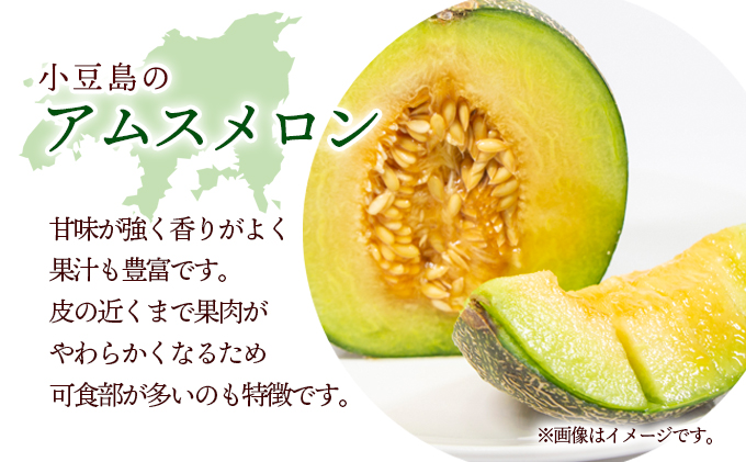 【 小豆島 】小豆島 アムスメロン 約5kg 果物 フルーツ メロン めろん くだもの 国産 香川 香川県 土庄 土庄町