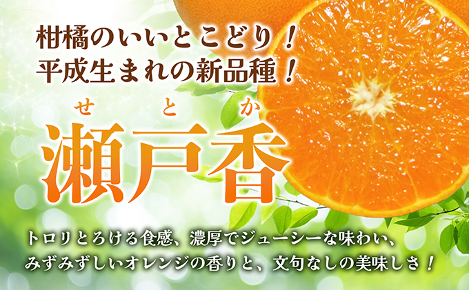 【 小豆島 】 ハウスせとか 約５kg 柑橘 せとか 瀬戸香 ハウス 果物 フルーツ くだもの 瀬戸内 くだもの 国産 香川 香川県 土庄 土庄町