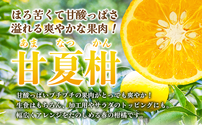 【 小豆島 】 甘夏柑 約10kg 柑橘 あまなつかん 果物 フルーツ 爽やか さっぱり くだもの 国産 香川 香川県 土庄 土庄町