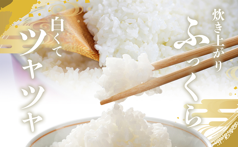 【 小豆島 】令和6年産新米 小豆島太閤 コシヒカリ 精白米 10kg（5kg×2袋）  お米 米 小豆島産 香川 香川県 土庄 土庄町