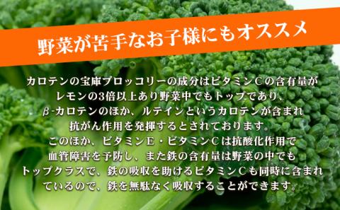 【 小豆島 】小豆島手延ブロッコリー麺　4袋セット