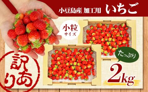 【 小豆島 】＜訳あり・小粒＞小豆島産　加工用いちご×2箱