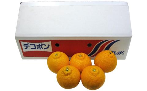 【 小豆島 】小豆島　不知火　約5kg 果物類 みかん 柑橘類 フルーツ