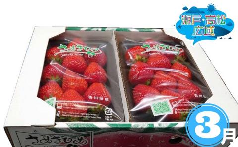 【 小豆島 】「瀬戸・たかまつネットワーク」いちご食べ比べ3ヵ月定期便