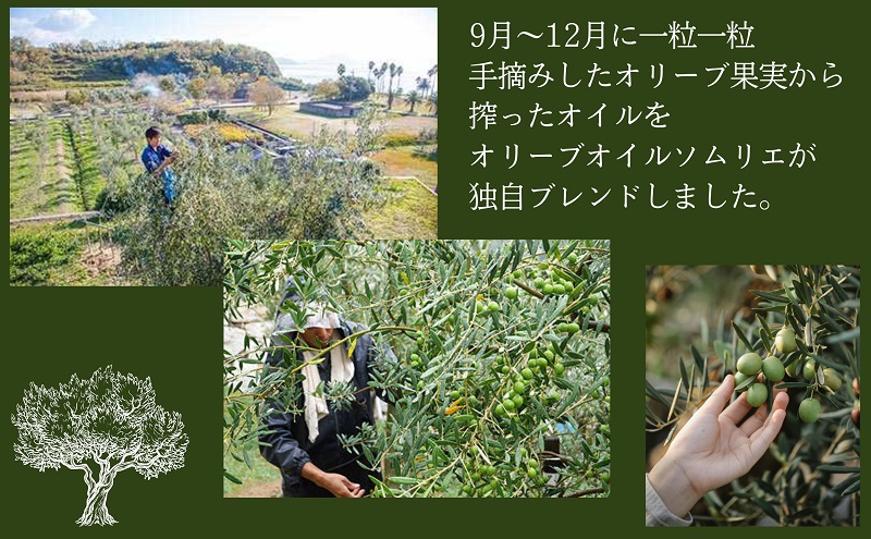 【 小豆島 】 小豆島産 食用 エクストラバージン オリーブオイル シルバーラベル ヘルシー 健康 食用油 調味料 オリーブ オイル 油 オリーブ油 国産 香川 香川県 土庄 土庄町