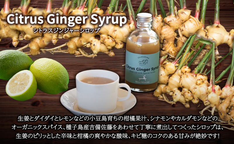 予約商品【 小豆島 】 小豆島ジンジャー＆ハニーダイダイシロップ 3本 セット 飲料 飲み物 ドリンク シロップ ジンジャー 生姜 ダイダイ 柑橘 ハニー ギフト 贈り物 ギフトボックス 香川 香川県 土庄 土庄町